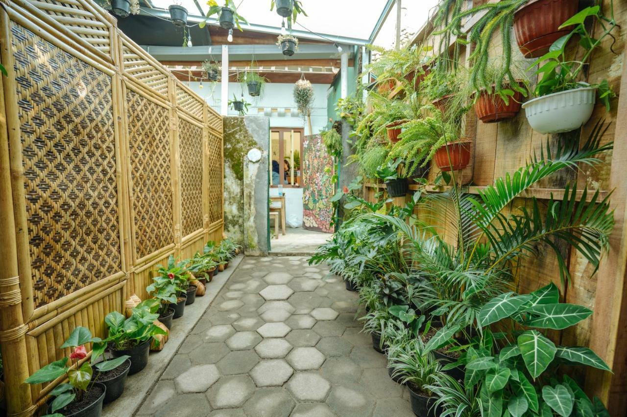 Guest house Snooze Yogyakarta